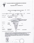 Certificado medico veterinario